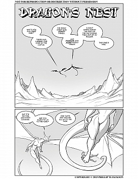 8 muses comic Dragon's Nest image 2 